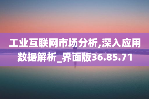 工业互联网市场分析,深入应用数据解析_界面版36.85.71