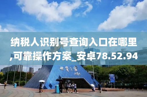 纳税人识别号查询入口在哪里,可靠操作方案_安卓78.52.94