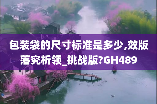 包装袋的尺寸标准是多少,效版落究析领_挑战版?GH489