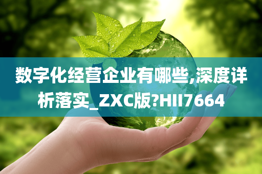 数字化经营企业有哪些,深度详析落实_ZXC版?HII7664