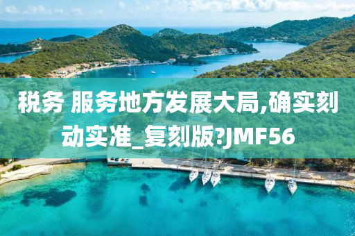 税务 服务地方发展大局,确实刻动实准_复刻版?JMF56