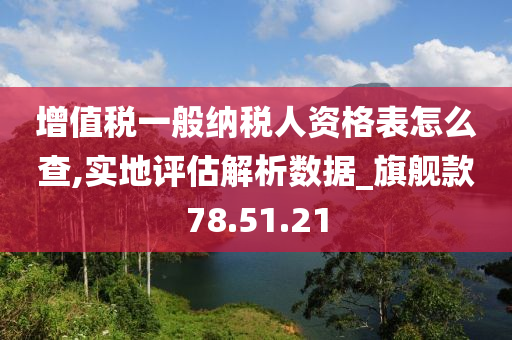 增值税一般纳税人资格表怎么查,实地评估解析数据_旗舰款78.51.21