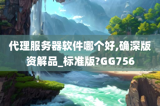 代理服务器软件哪个好,确深版资解品_标准版?GG756