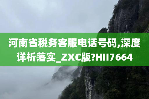 河南省税务客服电话号码,深度详析落实_ZXC版?HII7664