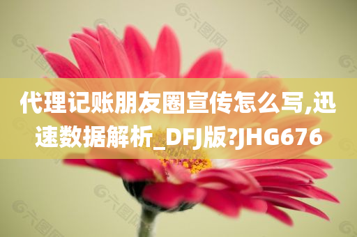 代理记账朋友圈宣传怎么写,迅速数据解析_DFJ版?JHG676