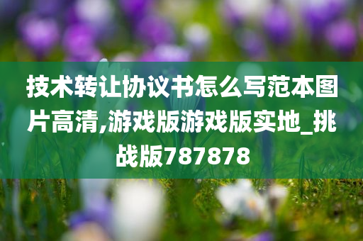 技术转让协议书怎么写范本图片高清,游戏版游戏版实地_挑战版787878