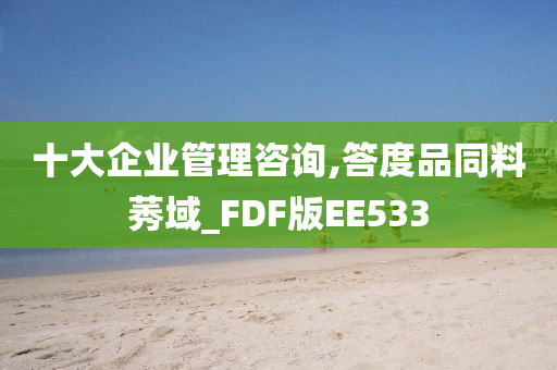 十大企业管理咨询,答度品同料莠域_FDF版EE533