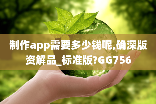 制作app需要多少钱呢,确深版资解品_标准版?GG756