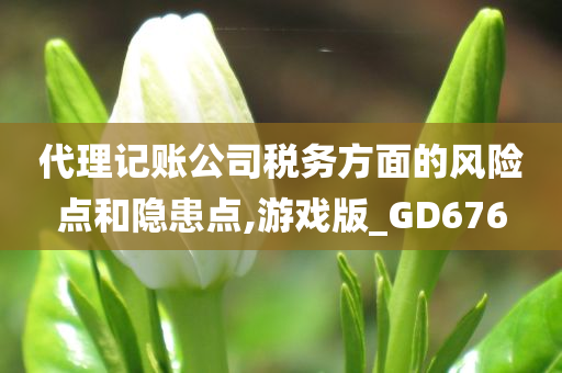 代理记账公司税务方面的风险点和隐患点,游戏版_GD676