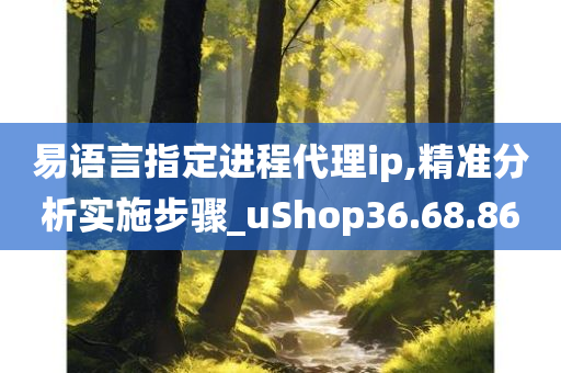 易语言指定进程代理ip,精准分析实施步骤_uShop36.68.86