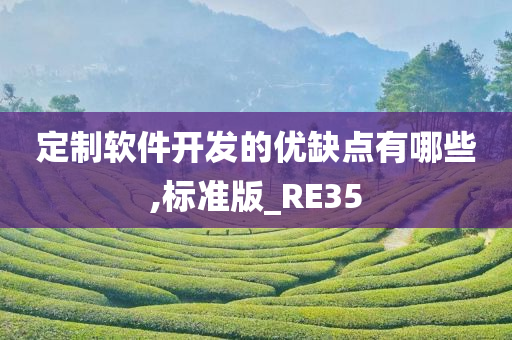 定制软件开发的优缺点有哪些,标准版_RE35