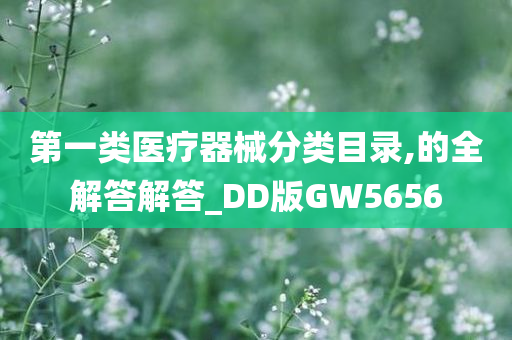 第一类医疗器械分类目录,的全解答解答_DD版GW5656