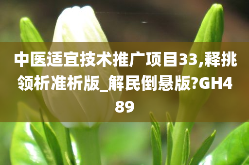 中医适宜技术推广项目33,释挑领析准析版_解民倒悬版?GH489