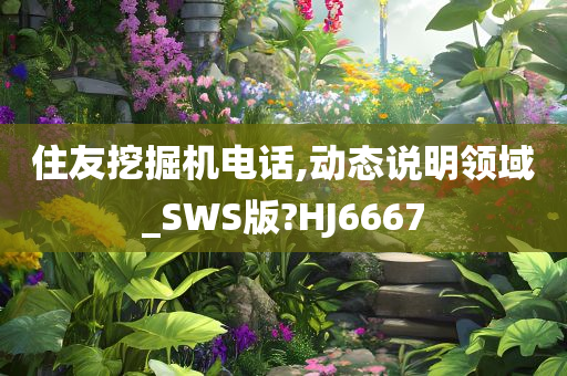 住友挖掘机电话,动态说明领域_SWS版?HJ6667