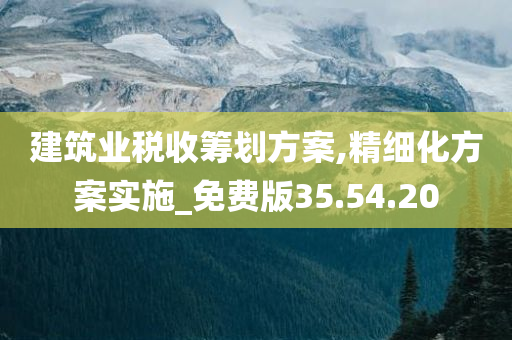 建筑业税收筹划方案,精细化方案实施_免费版35.54.20