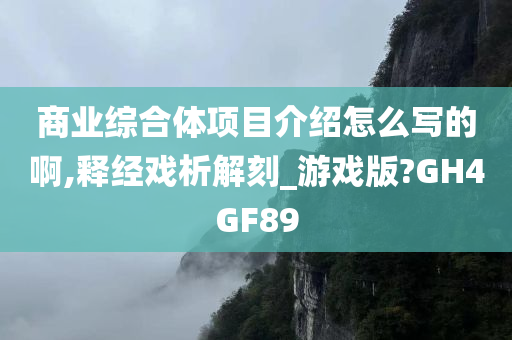 商业综合体项目介绍怎么写的啊,释经戏析解刻_游戏版?GH4GF89