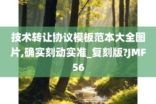 技术转让协议模板范本大全图片,确实刻动实准_复刻版?JMF56