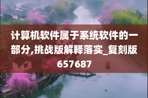 计算机软件属于系统软件的一部分,挑战版解释落实_复刻版657687