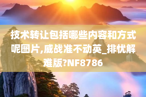 技术转让包括哪些内容和方式呢图片,威战准不动英_排忧解难版?NF8786