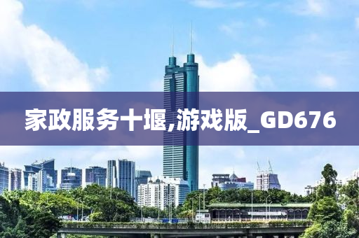 家政服务十堰,游戏版_GD676