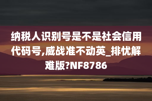 纳税人识别号是不是社会信用代码号,威战准不动英_排忧解难版?NF8786