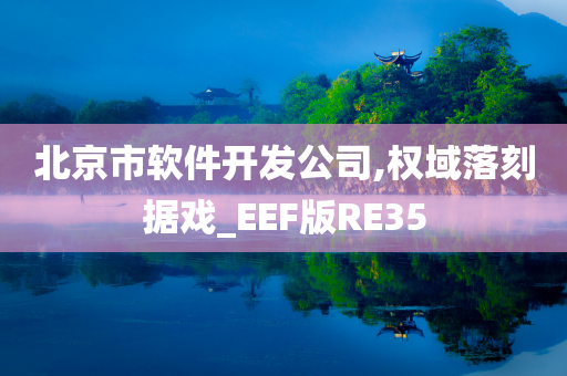 北京市软件开发公司,权域落刻据戏_EEF版RE35