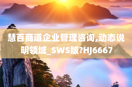 慧百商道企业管理咨询,动态说明领域_SWS版?HJ6667