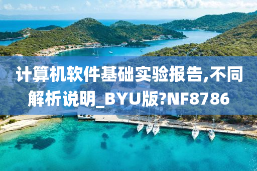 计算机软件基础实验报告,不同解析说明_BYU版?NF8786