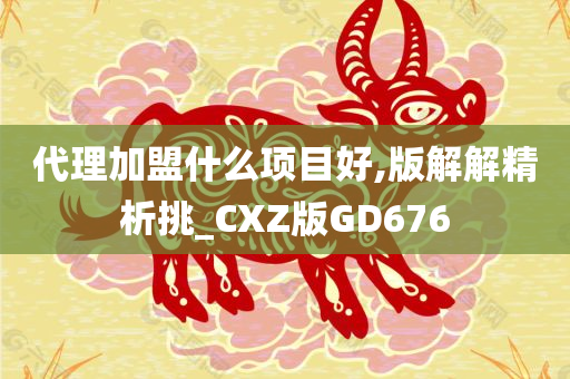 代理加盟什么项目好,版解解精析挑_CXZ版GD676