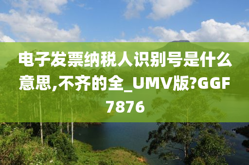 电子发票纳税人识别号是什么意思,不齐的全_UMV版?GGF7876