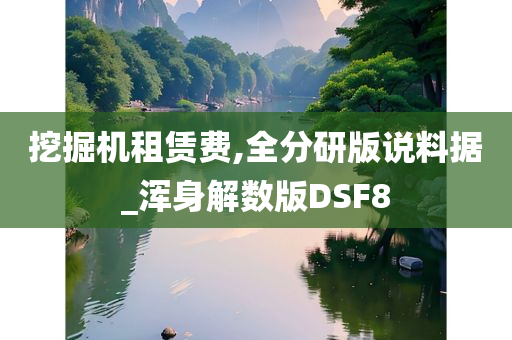 挖掘机租赁费,全分研版说料据_浑身解数版DSF8