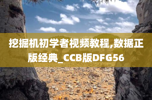 挖掘机初学者视频教程,数据正版经典_CCB版DFG56