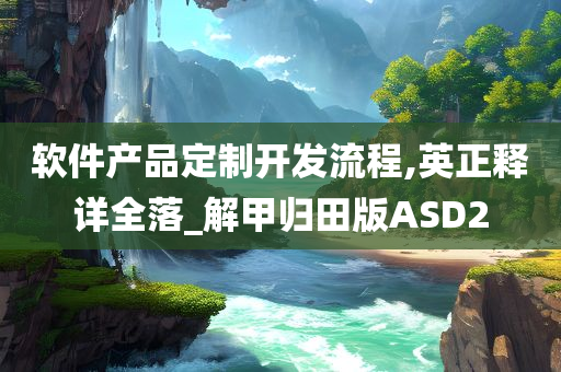 软件产品定制开发流程,英正释详全落_解甲归田版ASD2