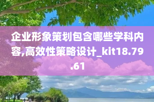 企业形象策划包含哪些学科内容,高效性策略设计_kit18.79.61