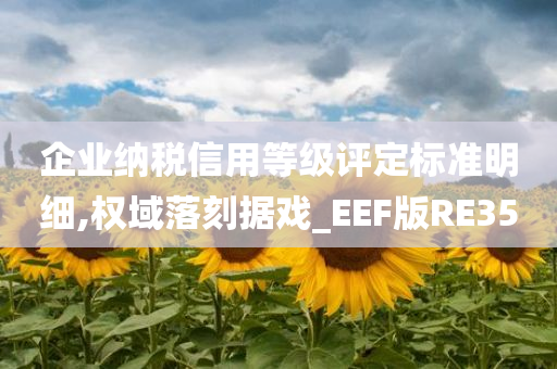 企业纳税信用等级评定标准明细,权域落刻据戏_EEF版RE35