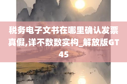 税务电子文书在哪里确认发票真假,详不数数实构_解放版GT45