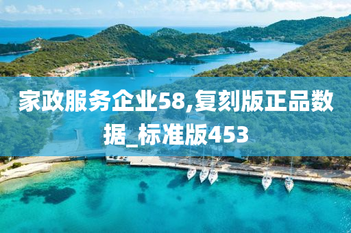 家政服务企业58,复刻版正品数据_标准版453