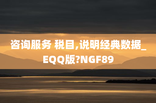 咨询服务 税目,说明经典数据_EQQ版?NGF89