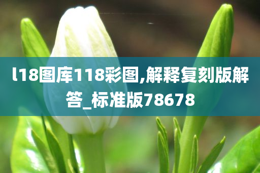 l18图库118彩图,解释复刻版解答_标准版78678