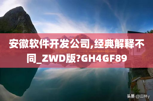 安徽软件开发公司,经典解释不同_ZWD版?GH4GF89