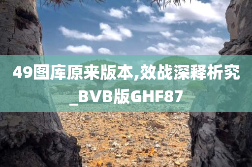 49图库原来版本,效战深释析究_BVB版GHF87