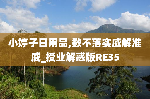 小婷子日用品,数不落实威解准威_授业解惑版RE35