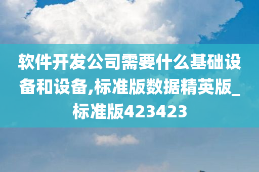 软件开发公司需要什么基础设备和设备,标准版数据精英版_标准版423423