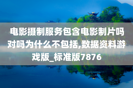 电影摄制服务包含电影制片吗对吗为什么不包括,数据资料游戏版_标准版7876