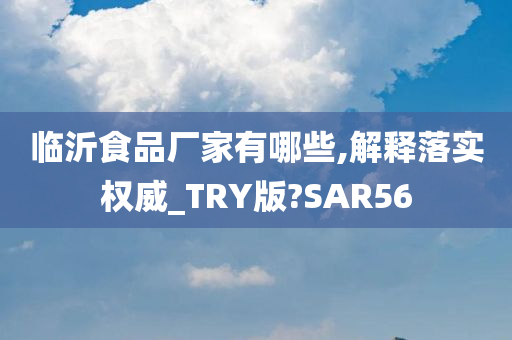 临沂食品厂家有哪些,解释落实权威_TRY版?SAR56