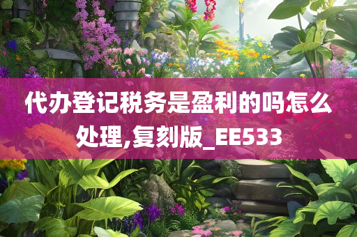 代办登记税务是盈利的吗怎么处理,复刻版_EE533