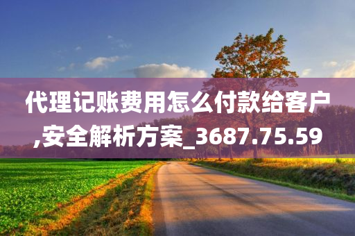 代理记账费用怎么付款给客户,安全解析方案_3687.75.59