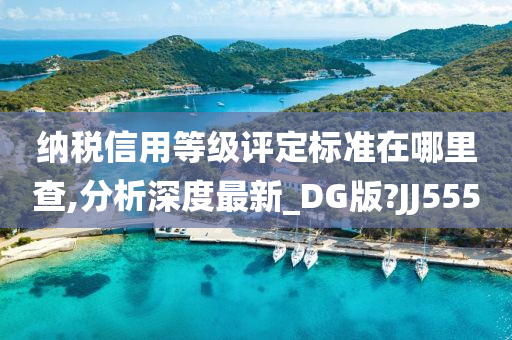 纳税信用等级评定标准在哪里查,分析深度最新_DG版?JJ555