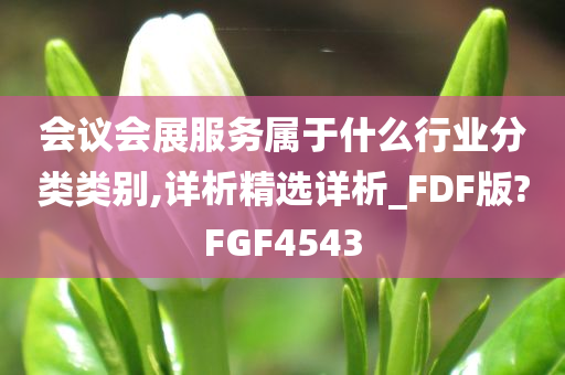 会议会展服务属于什么行业分类类别,详析精选详析_FDF版?FGF4543