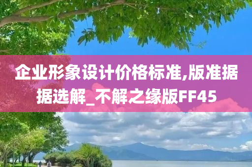 企业形象设计价格标准,版准据据选解_不解之缘版FF45